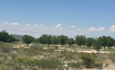 RANCHO EN VENTA EN PARRAS, COAHUILA