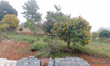 TERRENO 12/36 DENTRO DE LA NATURALEZA DE RESIDENCIAL MAR DE NUBES