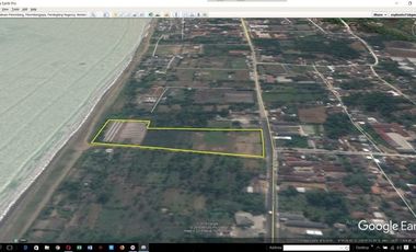 DIJUAL Tanah Murah di Panimbang Pandeglang Banten 1.5 Ha
