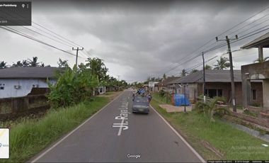 DIJUAL Tanah Murah di Panimbang Pandeglang Banten 1.5 Ha