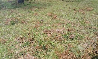 Venta finca Caldas Antioquia