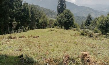 Venta finca Caldas Antioquia
