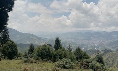 Venta finca Caldas Antioquia