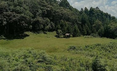 Venta finca Caldas Antioquia