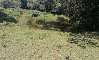 Venta finca Caldas Antioquia