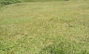 Venta finca Caldas Antioquia