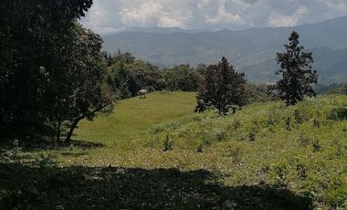 Venta finca Caldas Antioquia