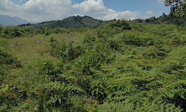 Venta finca Caldas Antioquia