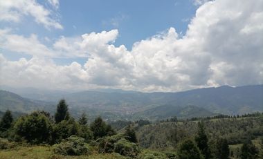 Venta finca Caldas Antioquia