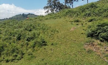 Venta finca Caldas Antioquia