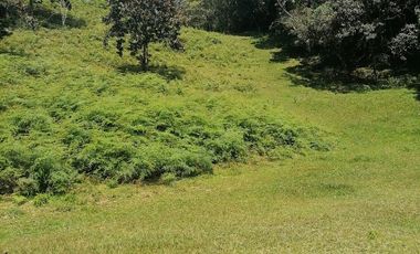 Venta finca Caldas Antioquia
