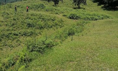 Venta finca Caldas Antioquia