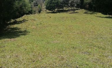 Venta finca Caldas Antioquia
