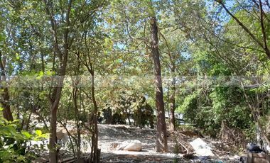 El Álamo Santiago, La Gloria