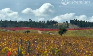 Parcela/Venta en Mallermo- Marchigue