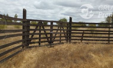 Parcela/Venta en Mallermo- Marchigue