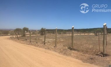 Parcela/Venta en Mallermo- Marchigue