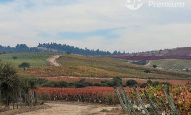 Parcela/Venta en Mallermo- Marchigue