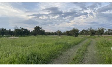 TERRENO HUEJOTZINGO 4 HECTAREAS