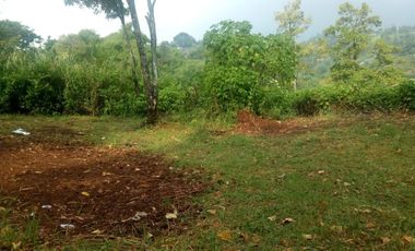 Dijual Murah !! Tanah di Dago Giri Lembang, pinggir jalan dekat dengan Dago Dream Park 1.5 juta/m² Nego !!