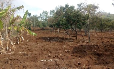 Dijual Murah !! Tanah di Dago Giri Lembang, pinggir jalan dekat dengan Dago Dream Park 1.5 juta/m² Nego !!