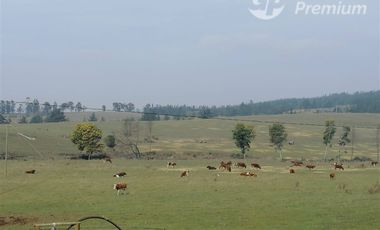 Parcela en venta en Paredones