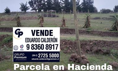 Parcela en venta en Paredones