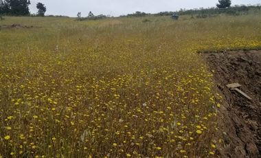 Parcela en venta en Paredones