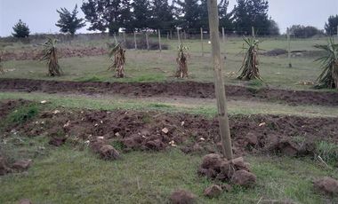 Parcela en venta en Paredones