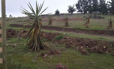 Parcela en venta en Paredones