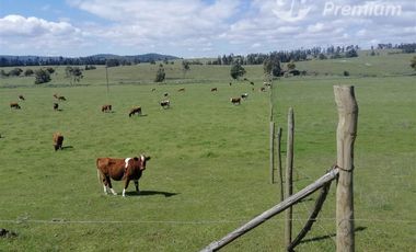 Parcela en venta en Paredones