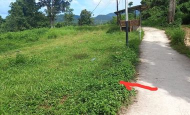 Dijual tanah di Halong Ambon. Lokasi strategis berhadapan dengan jalan utama