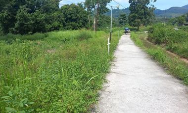 Dijual tanah di Halong Ambon. Lokasi strategis berhadapan dengan jalan utama