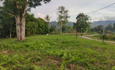 Dijual tanah di Halong Ambon. Lokasi strategis berhadapan dengan jalan utama