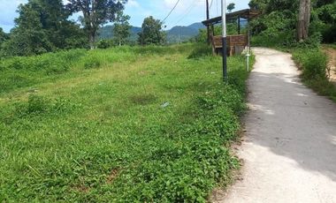 Dijual tanah di Halong Ambon. Lokasi strategis berhadapan dengan jalan utama