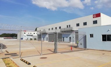 SE ALQUILA GALERA EN VIA TOCUMEN 480.63 MTS MANTENIMIENTO INCLUIDO