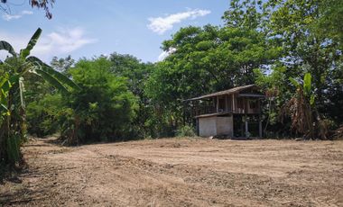 Land for sale in Don Pao, Chiang Mai