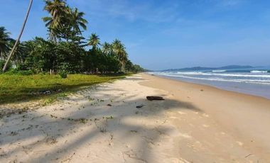 Beachfront Lot for Sale in San Vicente, Palawan