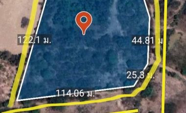Land for sale in San Klang, Chiang Mai