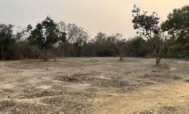 Land for sale in San Klang, Chiang Mai