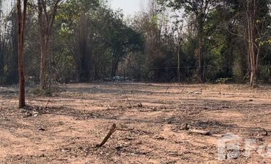 Land for sale in San Klang, Chiang Mai
