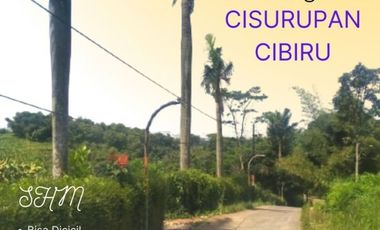 Tanah Bandung Kota Cilengkrang Ujungberung Luas 1 Jutaan/m