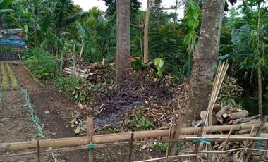 17 Tumbak tanah Siap Bangun Masuk Gang, Pasirhalang, Cisarua, Bandung Barat