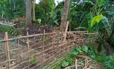 17 Tumbak tanah Siap Bangun Masuk Gang, Pasirhalang, Cisarua, Bandung Barat
