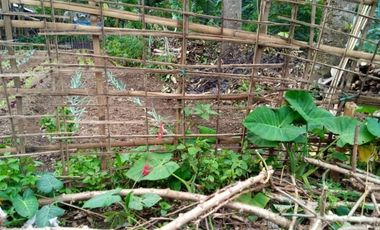 17 Tumbak tanah Siap Bangun Masuk Gang, Pasirhalang, Cisarua, Bandung Barat