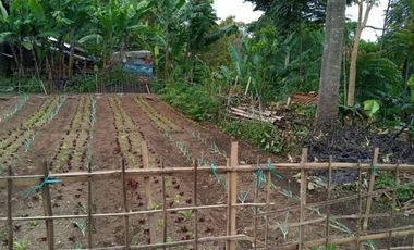 17 Tumbak tanah Siap Bangun Masuk Gang, Pasirhalang, Cisarua, Bandung Barat