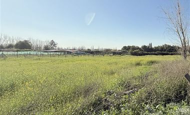 Sitio Sector Alba 2, Chicureo Centro