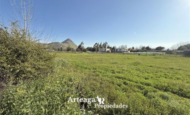 Sitio Sector Alba 2, Chicureo Centro