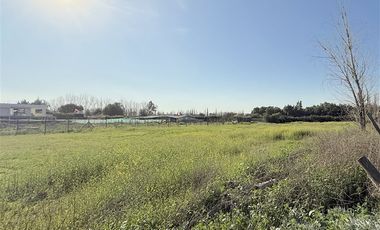 Sitio Sector Alba 2, Chicureo Centro