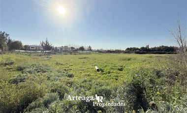 Sitio Sector Alba 2, Chicureo Centro
